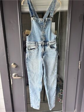 Free People Light Blue Denim Overalls